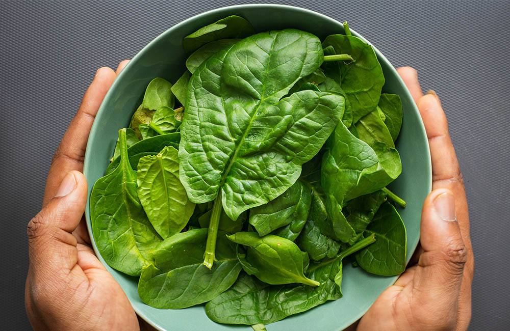 Hands holding a bowl of fresh spinach.