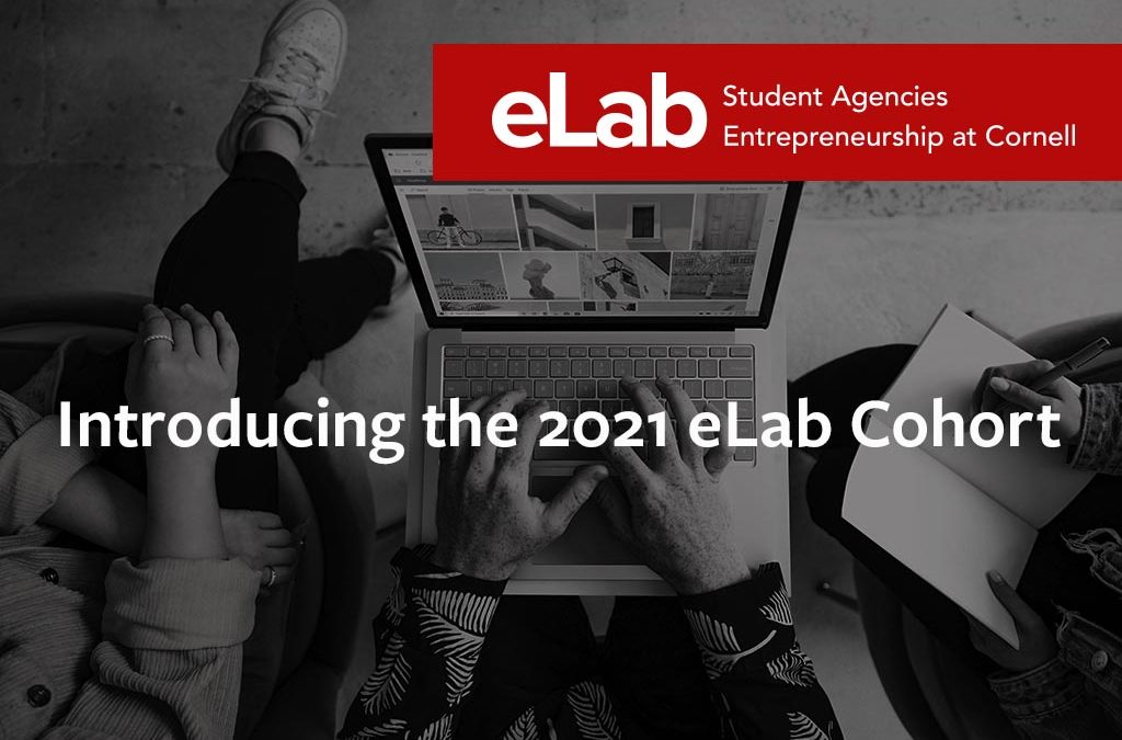 Introducing the 2021 eLab Cohort