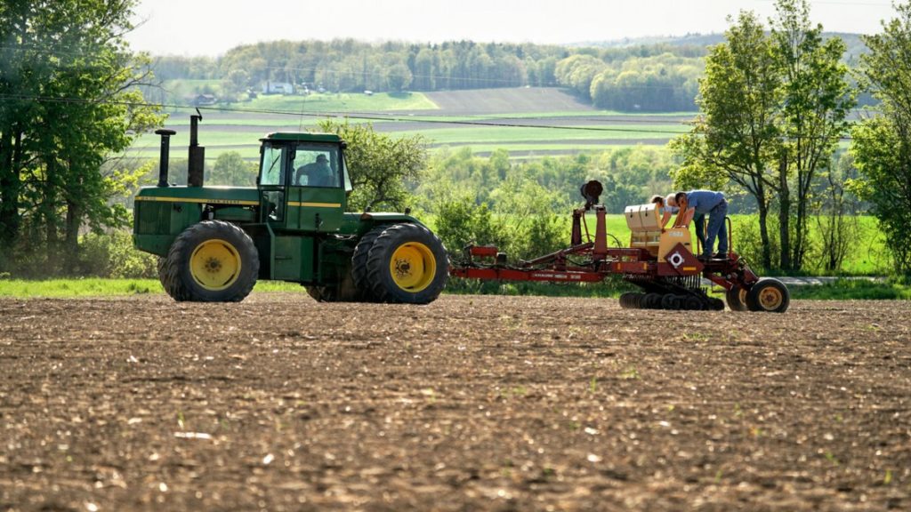 A green tractor and a planter machine in a field. One person is driving the. tractor while three other people load the planter with chickpeas.