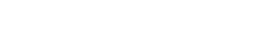 SC Johnson College of Business